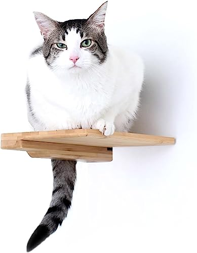Catastrophic Creations Katzen-Stufen-Bambusregal mit Kork-Pad – Katzen-Wandregale – Katzen-Wandmöbel – Katzenkletterregale – Katzenregal für die Wand – Wandmontierte Katzenmöbel (22,9 x 7,6 x 27,9 cm) von CatastrophiCreations