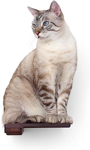 Katzen-Regal mit Kork-Pad, 22,9 cm, Onyx-Bambus/Kohle-Leinwand von CatastrophiCreations