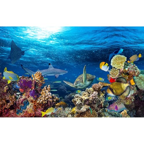 Aquarium-Hintergrund, tropische Fische, buntes Korallenriff, Panorama-Terrarium, Hintergrund, Meeresschildkröte, Hai, blaues Meer, Hintergründe, Unterwasserleben, Meereslandschaft, Aquarium-Hintergrund, tropische Fische, buntes Korallenriff, Panorama-Terrarium, Hintergrund, Meeresschildkröte, Hai, blaues Meer, Hintergründe, Unterwasserleben, Meereslandschaft, von CaterRina
