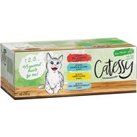 Catessy Delikatess-Häppchen mit Gemüse in Sauce Mix - 96 x 85 g (4 Sorten gemischt) von Catessy