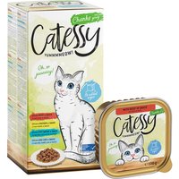Mixpack Catessy Schälchen 8 x 100 g - Häppchen in Soße Mix (4 Sorten gemischt) von Catessy