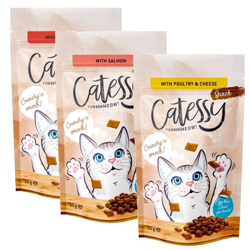 Sparpaket Catessy Knabber-Snacks 15 x 65 g - Mixpaket (3 Sorten) von Catessy