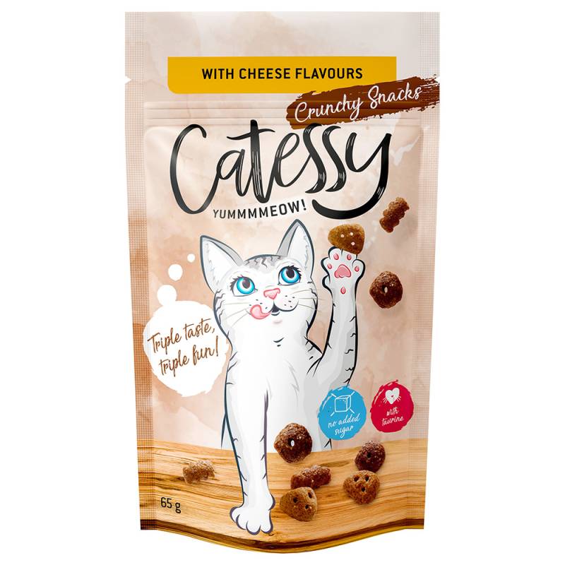 Sparpaket Catessy Knuspersnacks 15 x 65 g - mit Käsegeschmack von Catessy