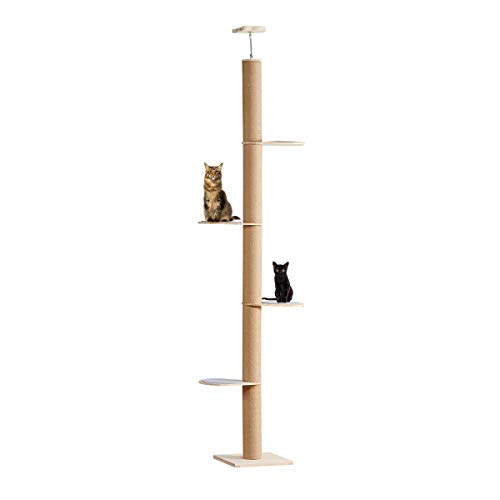 Catforest Kratzbaum für Katzen, vom Boden bis zur Decke, natürliches Sisalseil, 240 - 250 cm, 260 - 274 cm, 270 - 290 cm von Catforest