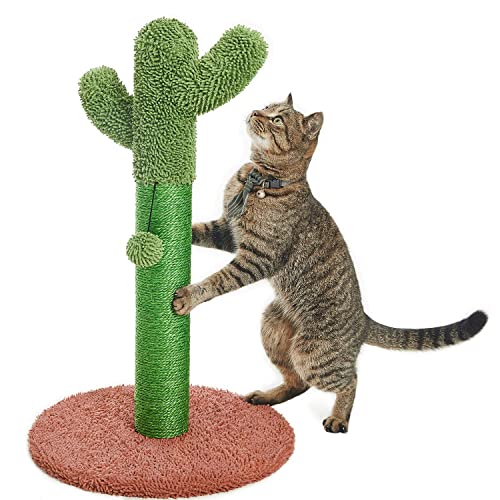 Catinsider Katzenkratzbaum Kaktus mit baumelndem Ball für Katzen, 65 cm, Braun von Catinsider
