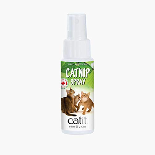 Catit Catnip/Katzenminze Spray für Katzen, 60 ml Catit Catnip/Katzenminze Spray für Katzen, 60 ml von Catit