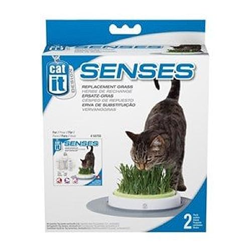 Catit Design Senses Gras Garten, Katzengras Nachfüllbeutel, 2er Pack Catit Design Senses Gras Garten, Katzengras Nachfüllbeutel, 2er Pack von Catit