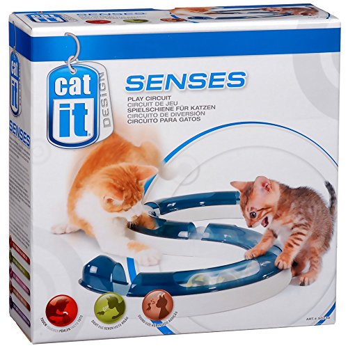 Catit Design Senses Spielschiene, Play Circuit, inklusive Ball, für Katzen, 1 Stück (1er Pack) Catit Design Senses Spielschiene, Play Circuit, inklusive Ball, für Katzen, 1 Stück (1er Pack) von Catit