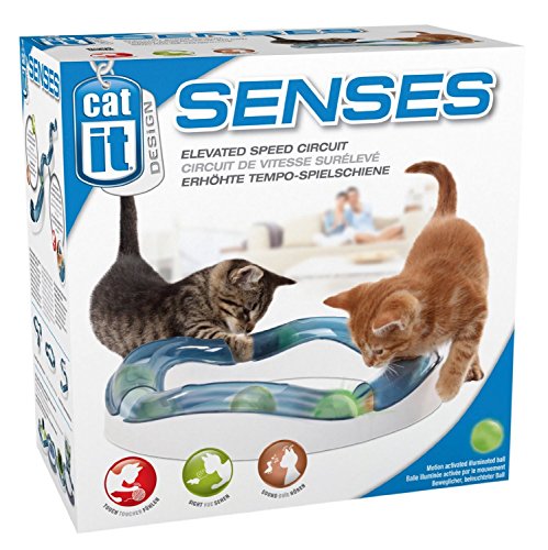 Catit Design Senses Spielschiene, Tempo, inklusive Ball, für Katzen von Catit