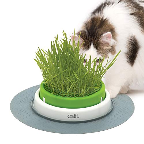Catit Grass Planter, Katzengras, Katzengrastopf mit Abdeckgitter, 1 Stück (1er Pack) von Catit