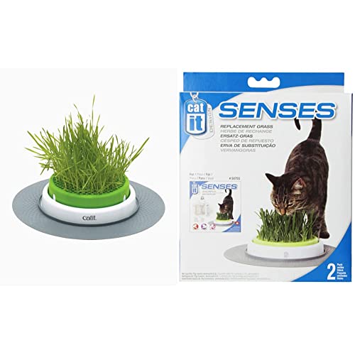 Catit Grass Planter, Katzengras, Katzengrastopf mit Abdeckgitter + Design Senses Gras Garten, Katzengras Nachfüllbeutel, 2er Pack von Catit