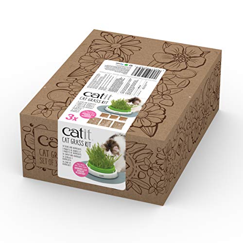 Catit Katzengrassamen, Katzengras, 3er Pack Catit Katzengrassamen, Katzengras, 3er Pack von Catit