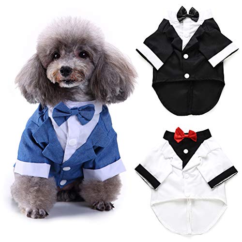 Catkoo Gentleman Hundehemd für kleine Hunde, Fliege, Kostüm, Katzen-Hochzeitshemd, formeller Smoking mit schwarzer Krawatte, Hundeprinz-Hochzeitsfliege, Anzug für kleine Hunde, weiß S von Catkoo