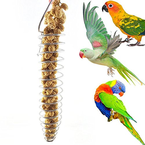 Catkoo Vogelzubehör, tragbar, Edelstahl, spiralförmig, für Vögel, Papageien, Haustiere, Obst, Spielzeug – Silber Catkoo Vogelzubehör, tragbar, Edelstahl, spiralförmig, für Vögel, Papageien, Haustiere, Obst, Spielzeug – Silber von Catkoo