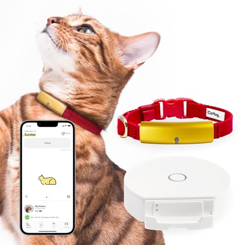 Catlog Starter-Set (M, [Starterset] Gold × Rot) – Intelligentes Halsband für Hauskatze, Gesundheitswesen Tracker für Hauskatze, Smart Pet Activity Tracker, Smart Wearable, 24/7 Überwachung, Schlaf & von Catlog