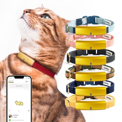 Catlog Starter-Set (M, [Starterset] Gold × Rot) – Intelligentes Halsband für Hauskatze, Gesundheitswesen Tracker für Hauskatze, Smart Pet Activity Tracker, Smart Wearable, 24/7 Überwachung, Schlaf & von Catlog