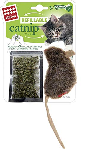 Catnip GiGwi, Wiederverwendbare Katzenmaus, nfrohes Design, langlebige Materialien, leicht zu befüllen, REGT das Spielen an, ideale Größe für kleine Pfoten, Verschiedene n, nachfüllbares Modell Catnip GiGwi, Wiederverwendbare Katzenmaus, nfrohes Design, langlebige Materialien, leicht zu befüllen, REGT das Spielen an, ideale Größe für kleine Pfoten, Verschiedene n, nachfüllbares Modell von Catnip