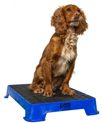 Cato Board - Hundetrainingsplattform (Blau, Gummioberfläche) von Cato Outdoors