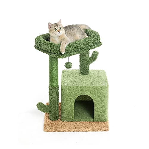 Catreaier Katzenbaum klein mit Sisalbezogenem Kratzbaum für Indoor-Katzen, nur kleine Katzen grün von Catreaier