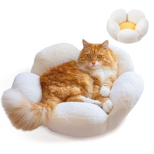 Catstages Purrfect Petals Katzenbett in Blumenform, waschbar, rund, für Hauskatzen, Plüsch, Weiß Catstages Purrfect Petals Katzenbett in Blumenform, waschbar, rund, für Hauskatzen, Plüsch, Weiß von Catstages