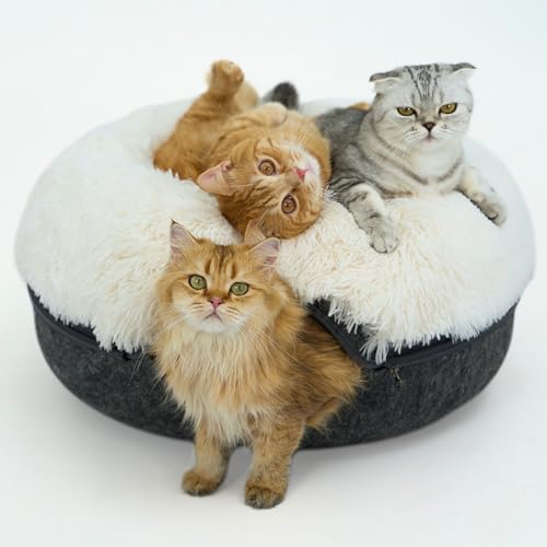 Cattasaurus Peekaboo Katzenhöhle für mehrere und große Katzen bis zu 13,6–20,4 kg, abnehmbares und waschbares Tunnelbett, bequeme Donut-Katzenhöhle (dunkelgrau, groß (beruhigend)) von Cattasaurus