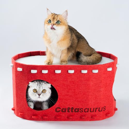 Cattasaurus Tragbares Katzenhaus, faltbare Katzenbetten für Indoor-Katzen, geschlossene Peekaboo-Höhle für mehrere Katzen bis zu 11,8 kg, kratzfeste Etagenbetten, Tunnel, Zelt, Versteck & Couch (rot Cattasaurus Tragbares Katzenhaus, faltbare Katzenbetten für Indoor-Katzen, geschlossene Peekaboo-Höhle für mehrere Katzen bis zu 11,8 kg, kratzfeste Etagenbetten, Tunnel, Zelt, Versteck & Couch (rot von Cattasaurus