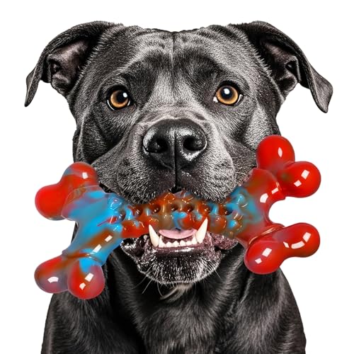 CattySafe Hundespielzeug für aggressive Kauer, aggressive Kauer für große, mittelgroße Hunde, unzerstörbares Hundespielzeug CattySafe Hundespielzeug für aggressive Kauer, aggressive Kauer für große, mittelgroße Hunde, unzerstörbares Hundespielzeug von CattySafe