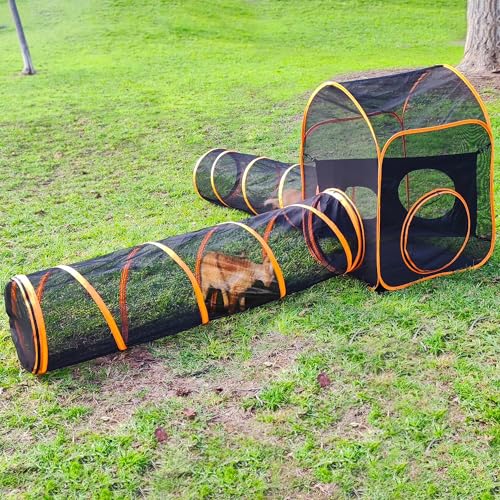 Katzengehege im Freien Katzengehege im Freien von Catvynor