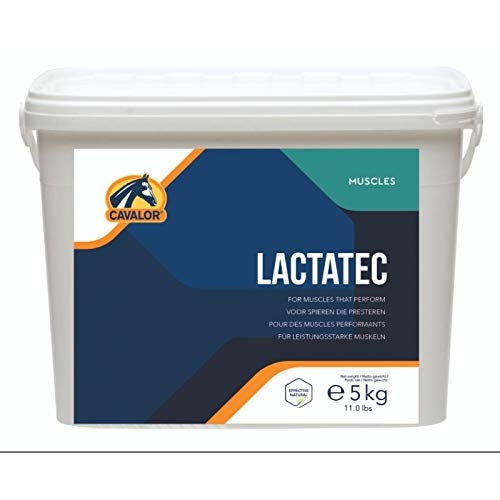 Cavalor Lactatec 5 kg von Cavalor