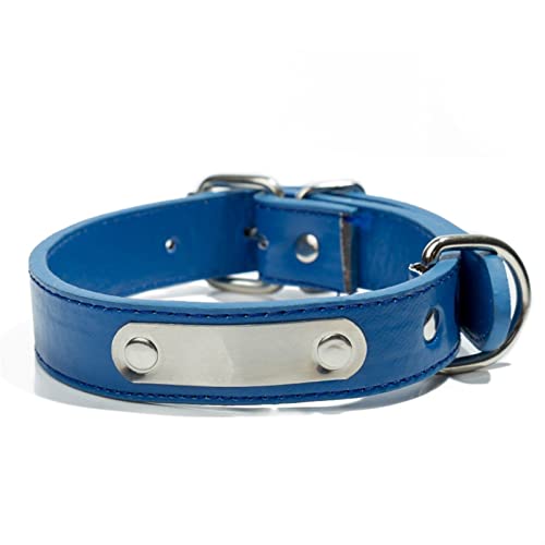 Basic Collars Hundehalsband, personalisierbar, für große und kleine Hunde, mit Adressanhänger, für Haustiere, Katzen, Halsband (Farbe: Blau, Größe: M) von Cavanu