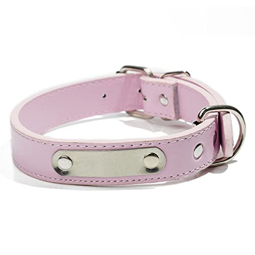 Basic Collars Hundehalsband, personalisierbar, für große und kleine Hunde, mit Adressanhänger, für Haustiere, Katzen, Halsband (Farbe: Rosa, Größe: S) von Cavanu
