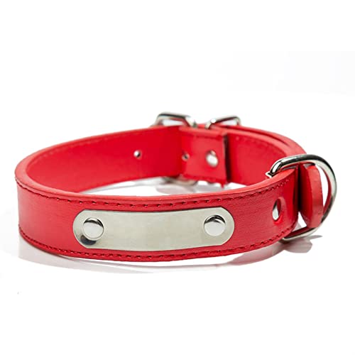 Basic Collars Hundehalsband, personalisierbar, für große und kleine Hunde, mit Adressanhänger, für Haustiere, Katzen, Halsband (Farbe: Rot, Größe: L) von Cavanu