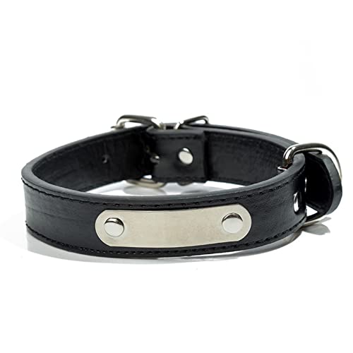 Basic Collars Hundehalsband, personalisierbar, für große und kleine Hunde, mit Adressanhänger, für Haustiere, Katzen, Halsband (Farbe: Schwarz, Größe: M) von Cavanu