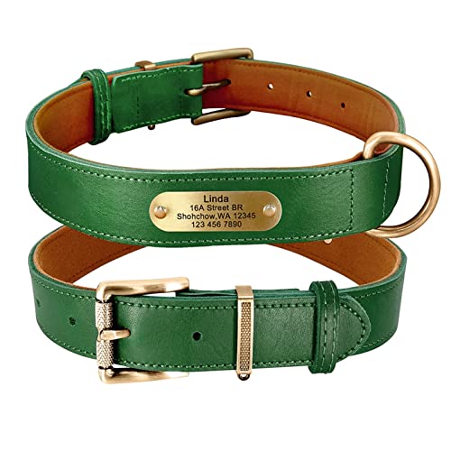 Basic Collars Hundehalsband aus Echtleder, personalisierbar, mit Gravur und Namensschild (Farbe: Grün, Größe: 2XL) von Cavanu