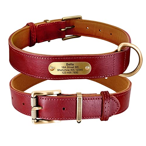 Basic Collars Hundehalsband aus Echtleder, personalisierbar, mit Gravur und Namensschild (Farbe: Rot, Größe: 2XL) von Cavanu