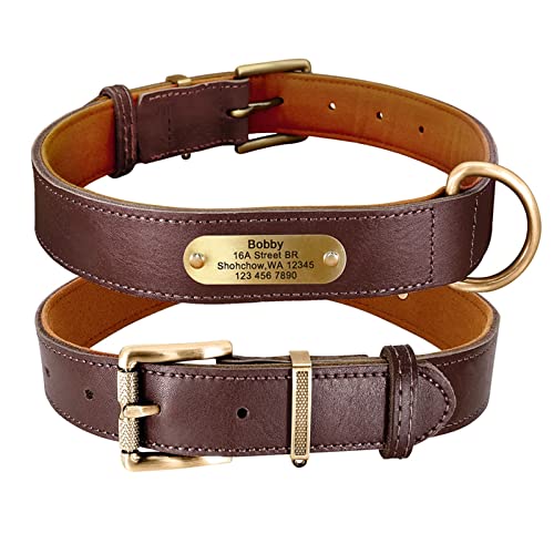 Basic Collars Hundehalsband aus echtem Leder, personalisierbar, mit Gravur und Namensschild (Farbe: Braun, Größe: XS) von Cavanu