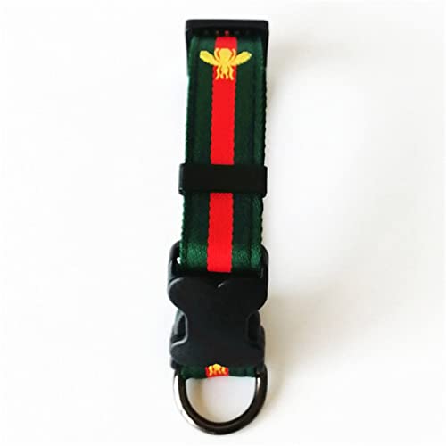 Hundehalsband und Leine, modisches Hundegeschirr 2022 (Farbe: grünes Halsband, Größe: M) von Cavanu