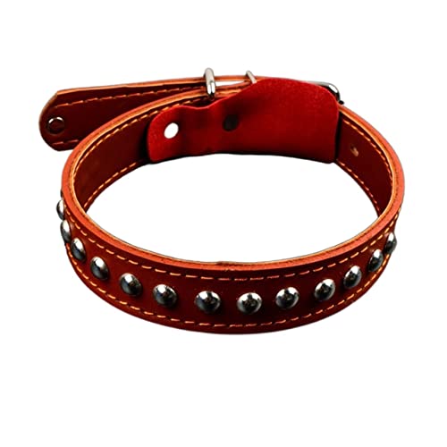 Hundeleine aus Leder für große Hunde und Hunde mit Schleppseil (Farbe: braunes Halsband, Größe: XL) von Cavanu