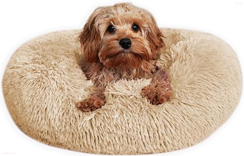 Caveli Pet Products Orthopädisches Hundekorb Kleine Flauschig Rund Donut 60 cm, S, bis 10 kg Beige Hundekissen Abnehmbarer Bezug Beruhigend Waschbar Anti-Angst Hundbett von Caveli Pet Products