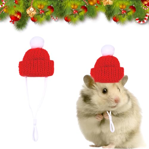 Weihnachtsmütze für Kleintier Hand gestrickt, Niedliche Mini Weihnachtsmütze für Haustier, Weihnachten Hamster Hut einstellbar, Kleintier Weihnachten Kostüm für Hamster Kaninchen Eidechse Igel Weihnachtsmütze für Kleintier Hand gestrickt, Niedliche Mini Weihnachtsmütze für Haustier, Weihnachten Hamster Hut einstellbar, Kleintier Weihnachten Kostüm für Hamster Kaninchen Eidechse Igel von CavspkArt