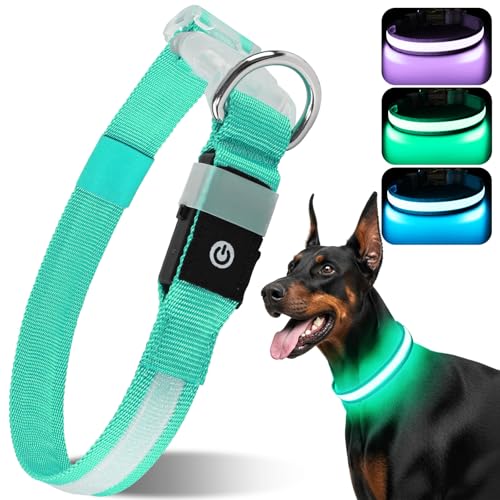 CAWJUG Leuchtende Hundehalsband, wiederaufladbar, blinkendes Hundehalsband, 3 Leuchtmodi, LED-Hundehalsband mit verstellbarem, weichem und luftigem Gurt für kleine bis große Hunde (Grün, S) von Cawjug