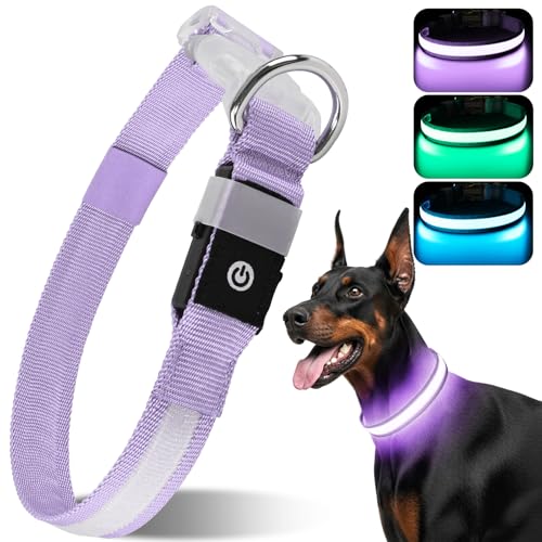 CAWJUG Leuchtende Hundehalsband, wiederaufladbar, blinkendes Hundehalsband, 3 Leuchtmodi, LED-Hundehalsband mit verstellbarem, weichem und luftigem Gurt für kleine bis große Hunde (Lila, M) von Cawjug