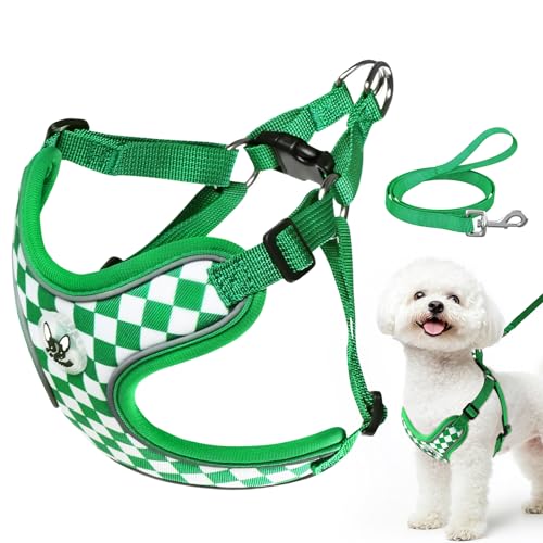Cawjug Hundegeschirr und Leine Set, Weiches Einstellbares Reflektierendes Schritt-in-Westengeschirr für Welpen Extra-Klein Mittelgroße Hunde, Verstellbares Welpengeschirr (Grün, S) von Cawjug