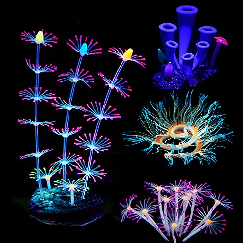 Cayway 4 Stück Künstliche Aquarium Pflanzen, Aquarium Pflanzen Künstlich Glühen mit Simulation Silikonkoralle, Künstliche Hornkoralle, Künstliche Seeanemone für Aquarium, Aquarium Landschaft Cayway 4 Stück Künstliche Aquarium Pflanzen, Aquarium Pflanzen Künstlich Glühen mit Simulation Silikonkoralle, Künstliche Hornkoralle, Künstliche Seeanemone für Aquarium, Aquarium Landschaft von Cayway