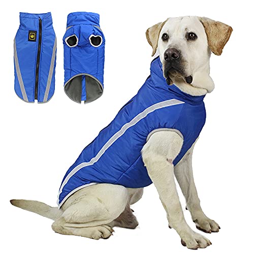 Winter-Hundejacke, Haustiermantel, winddicht, wasserdicht, wendbar, für kaltes Wetter, Hundekleidung für mittelgroße und große Hunde (Blau, 4XL) von Cdipesp