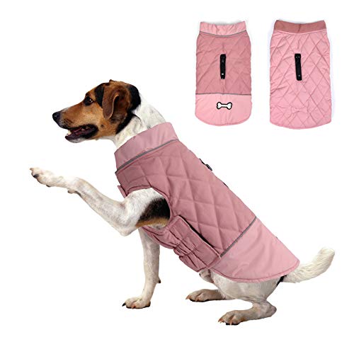 Winter-Hundemantel, wendbar, Knochen, wasserdicht, reflektierend, kaltes Wetter, für kleine, mittelgroße und große Hunde (Pink, M) von Cdipesp