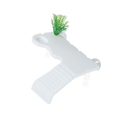 CeaBulo Reptilien Resting BLATTOR BREIBEN RAMPS Vielseitige Schildkröten Habitat Accessoire Für Reptilien Enthusiasten Sichere Schildkröten Lebensraum von CeaBulo