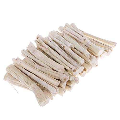 CeaBulo Süßer Bambusstock 500g Natürliche Snacks Timotheus Für Heustöcke Kauen Nach Kaninchen Eichhörnchen Kau Trainingszubehör von CeaBulo