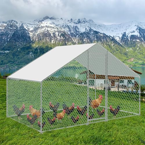 Cecaylie 3x2x2m Hühnerstall Freilaufgehege mit Schloss und Tür, Tiergehege Metall 6 m² Hühnerhaus Freigehege Outdoor Geflügelstall, für Hühnerkäfig Kleintiere von Cecaylie