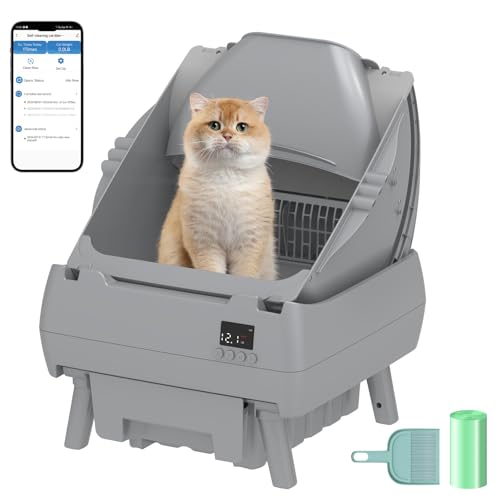 Mitte 2025 Verbesserte Version – Automatische Katzentoilette Selbstreinigung – APP-Steuerung, offenes Design, intelligenter Gesundheitsmonitor, sicheres Einklemmen, leise, perfekt für Katzen, ein von Cegimus